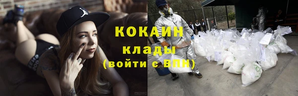 мдпв Магас