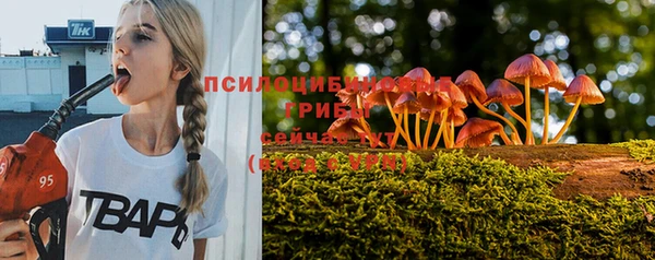 молекула духа Магадан