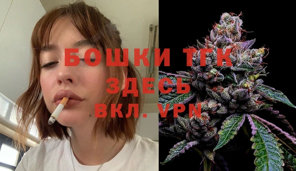 молекула духа Магадан