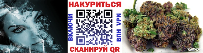 Купить закладки  Николаевск  Каннабис гибрид 